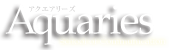 アクエアリーズ